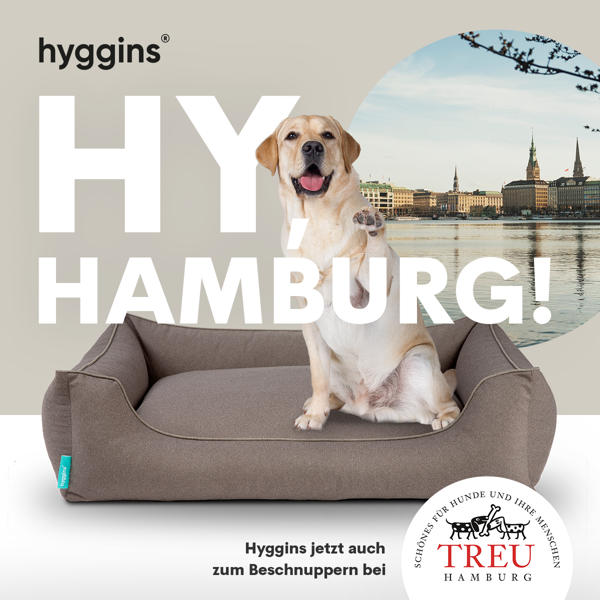 HY Hamburg! Hyggins ist jetzt auch bei Treu Hamburg erhältlich.