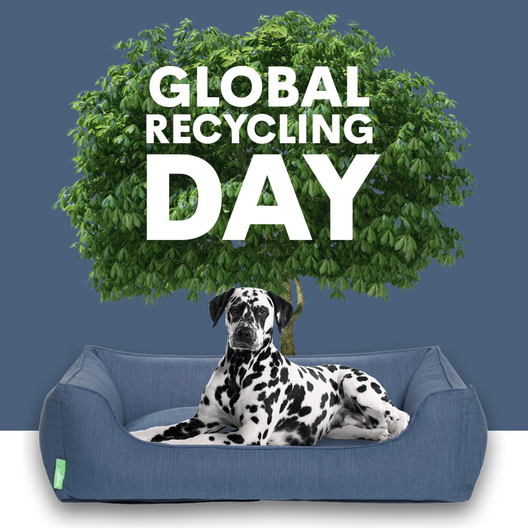 Neu: DREAMER PLUS GREEN LABEL Hundebett aus recyceltem PET.