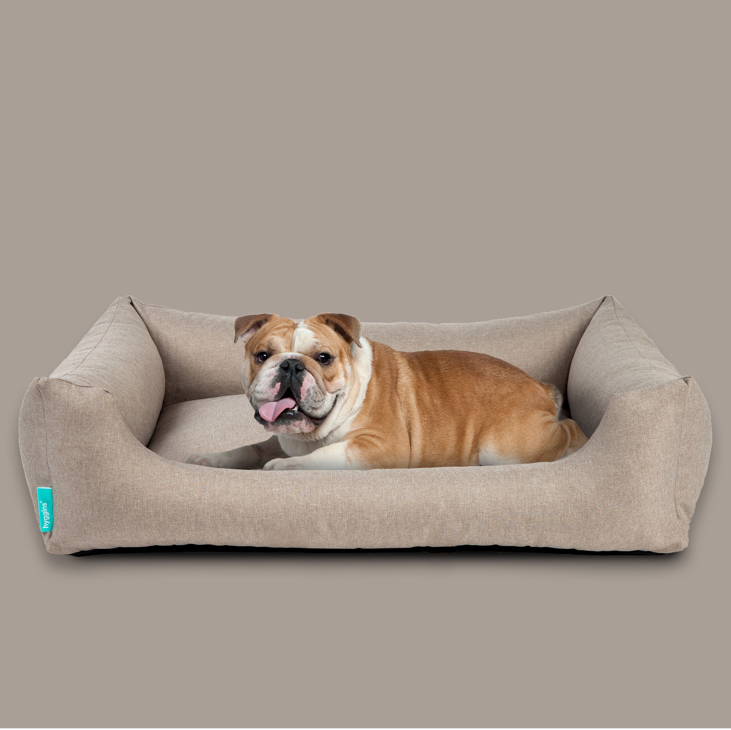Dreamer Pure Dog Bed