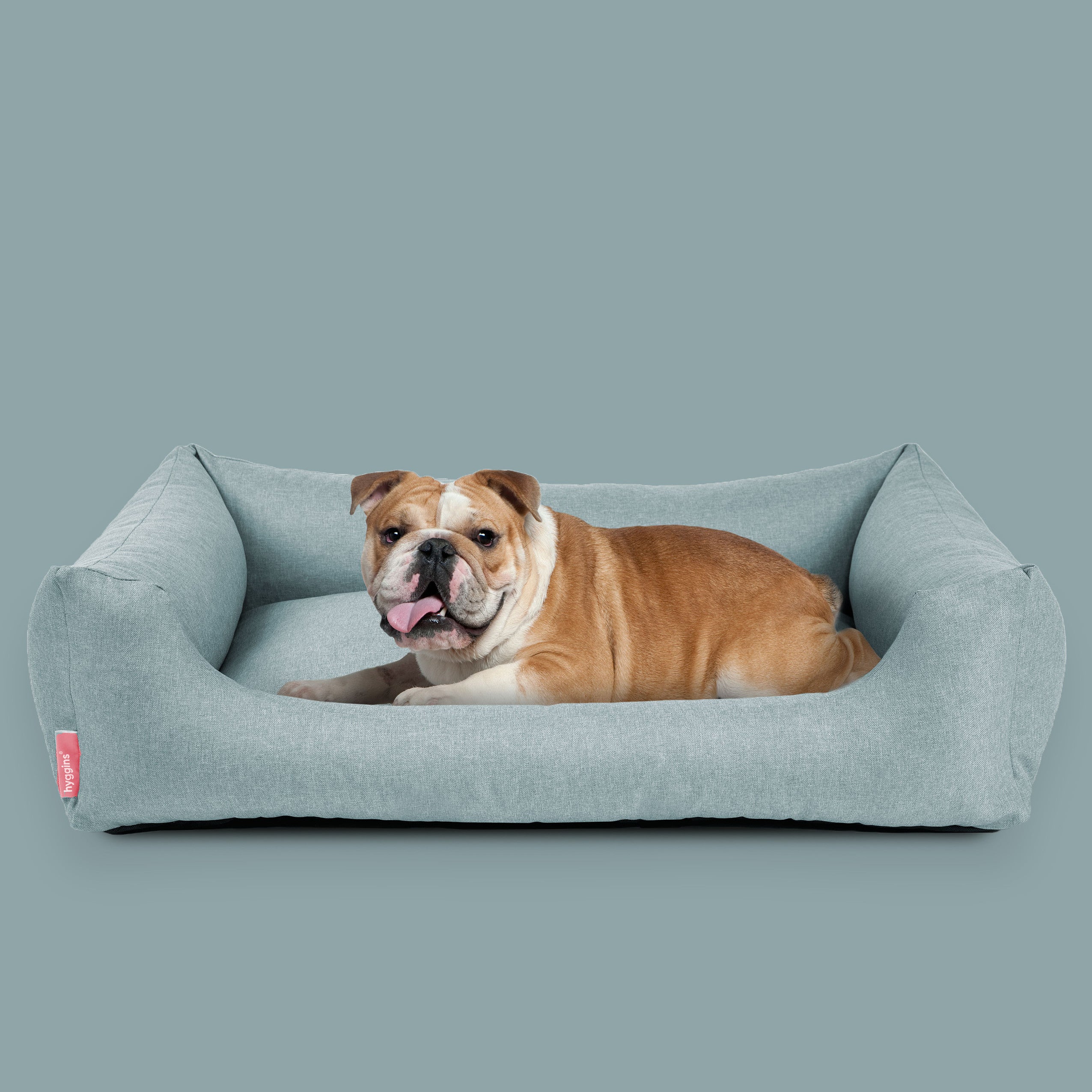 Dreamer Pure Dog Bed