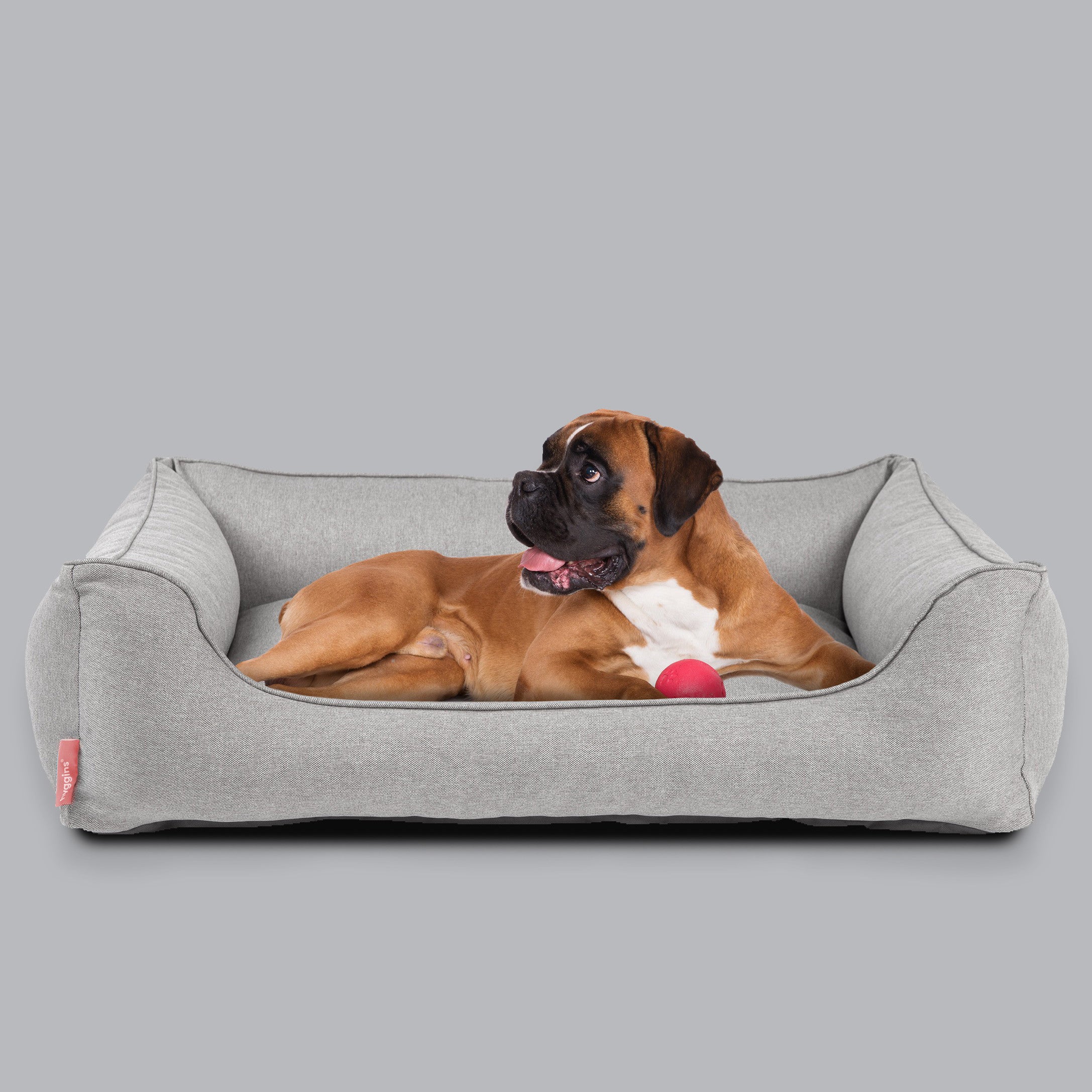 Hund comfort plus dog mattress online