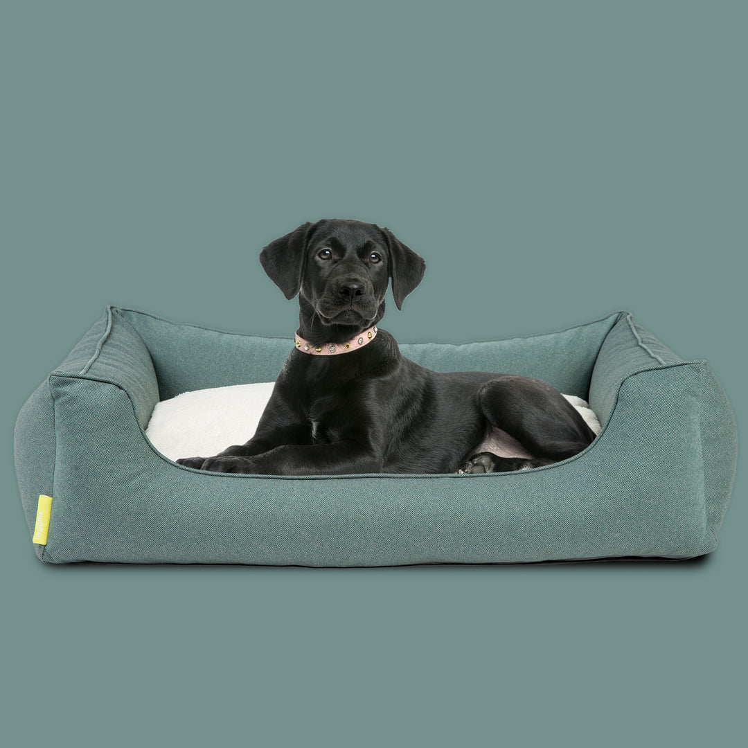 Dreamer Perfect Hundebett
