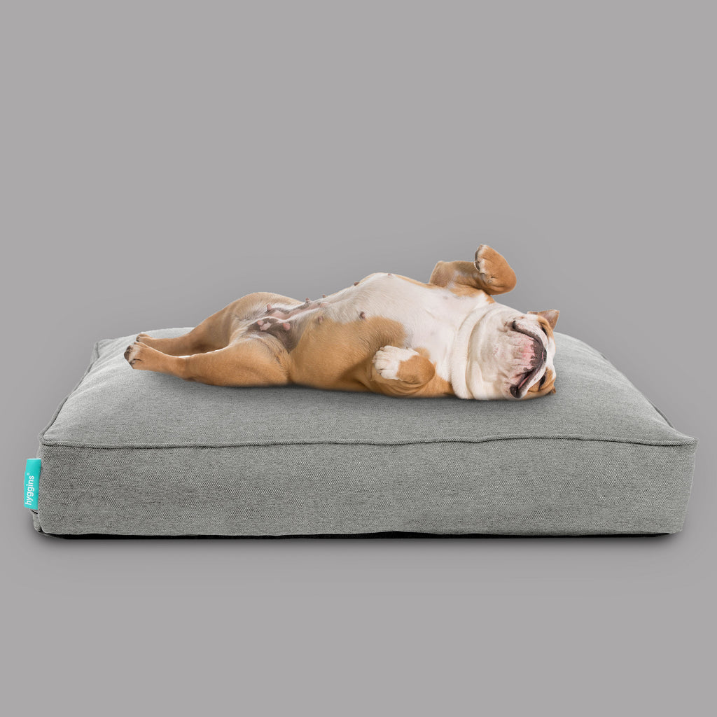 Lounger Plus Hundekissen