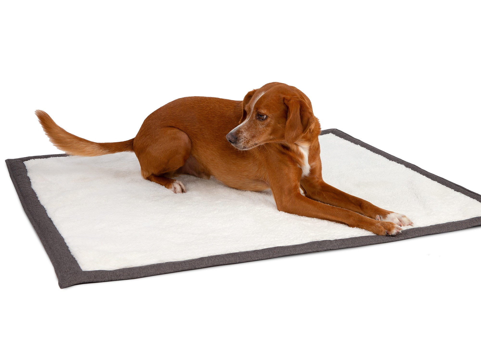 Cosy Plus Dog Blanket