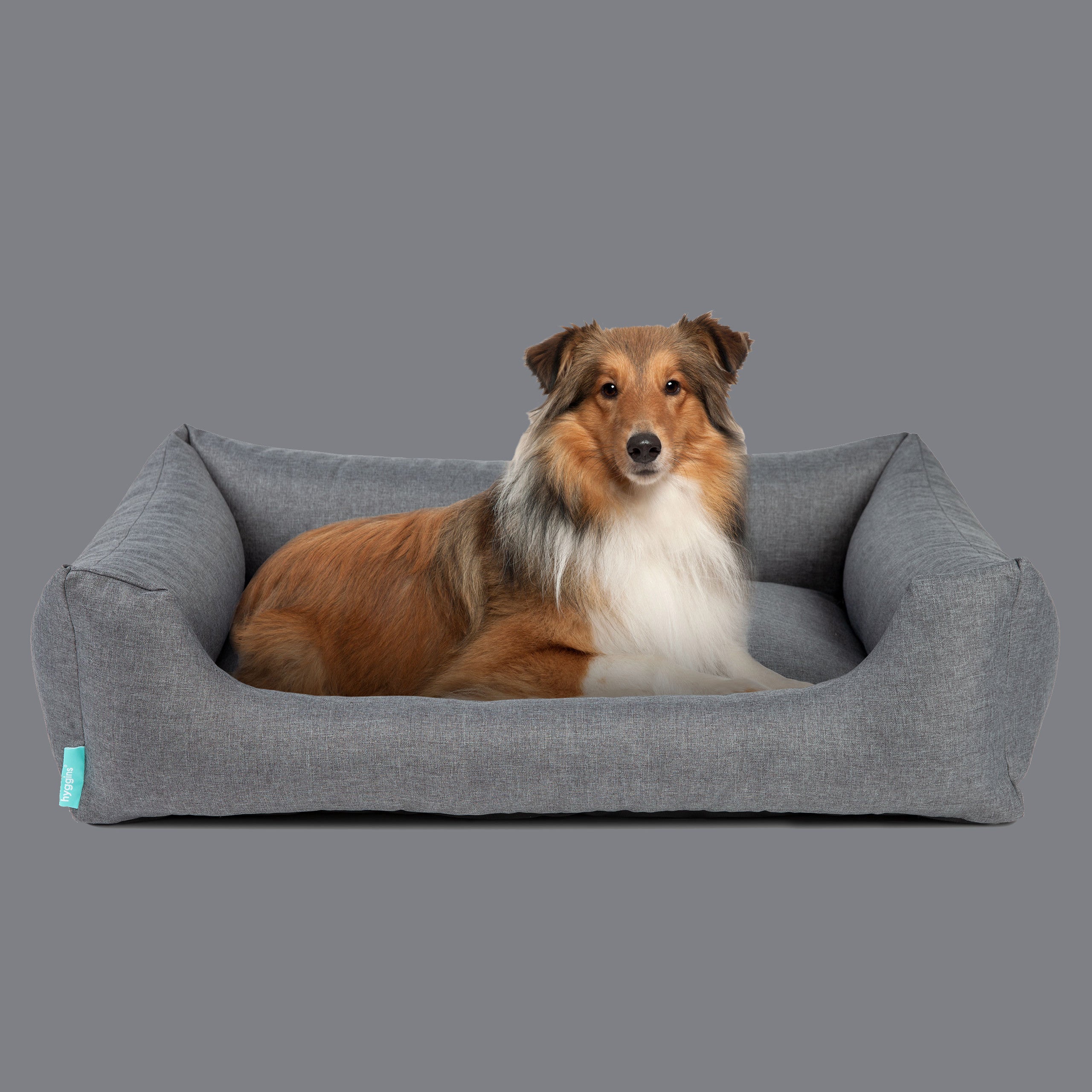 Dreamer Pure Outdoor Dog Bed